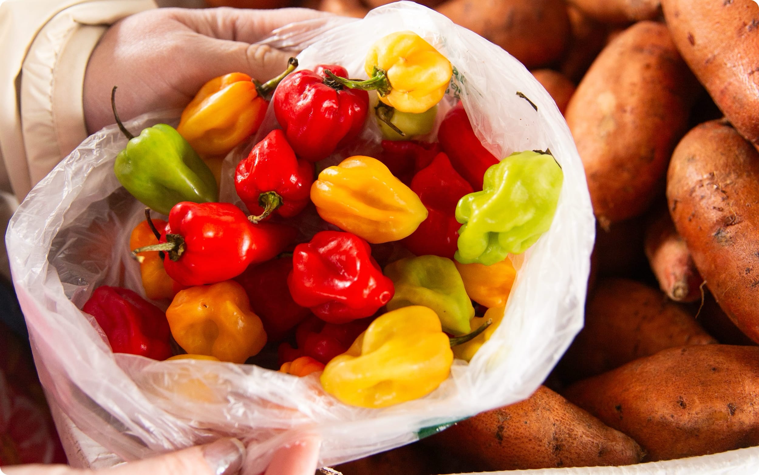 Portfolio detail media 2-1