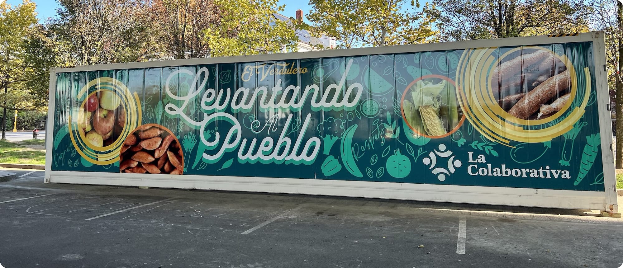 Portfolio detail media 1-1