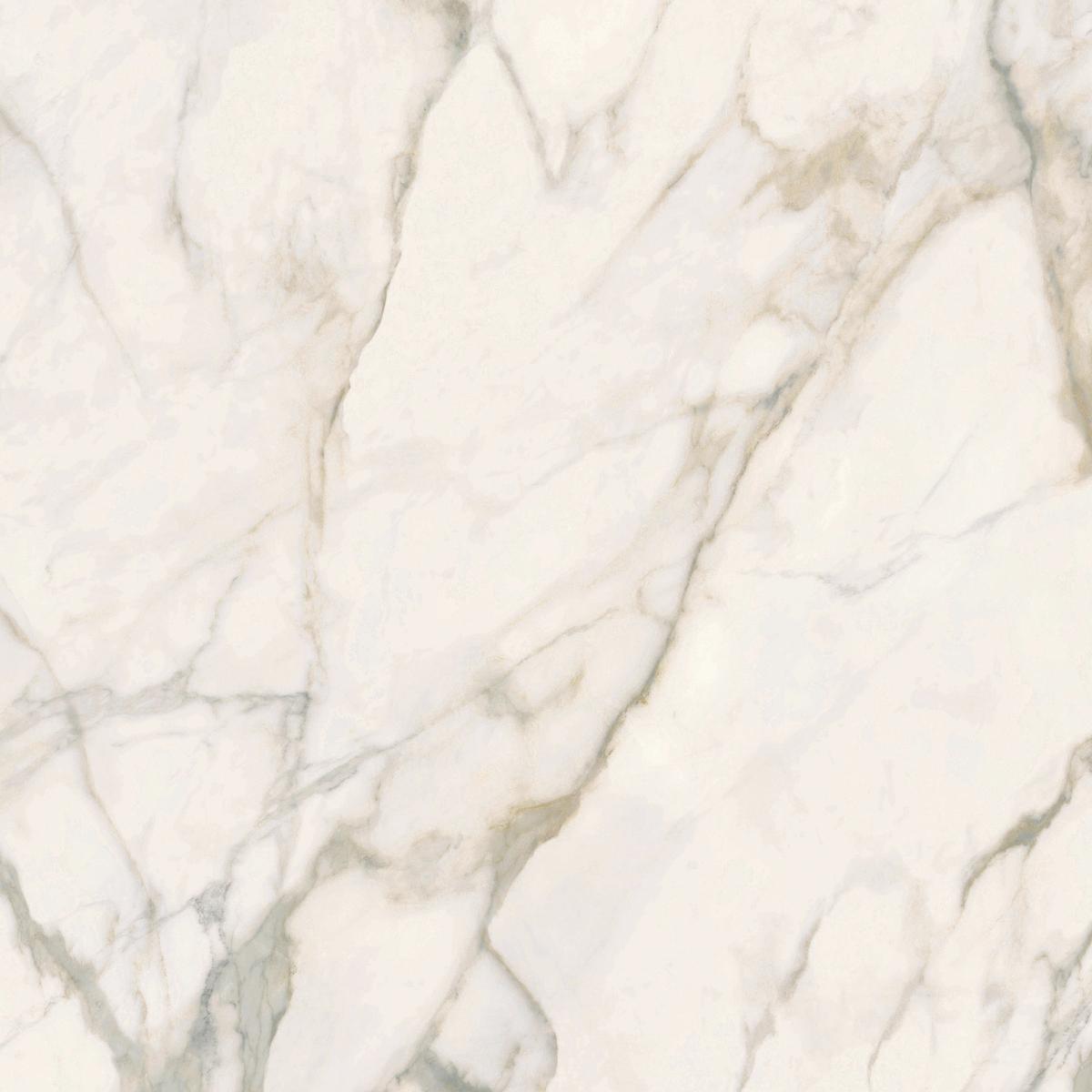 Calacatta Oro Vein