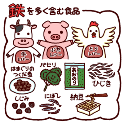 鉄分のお話し