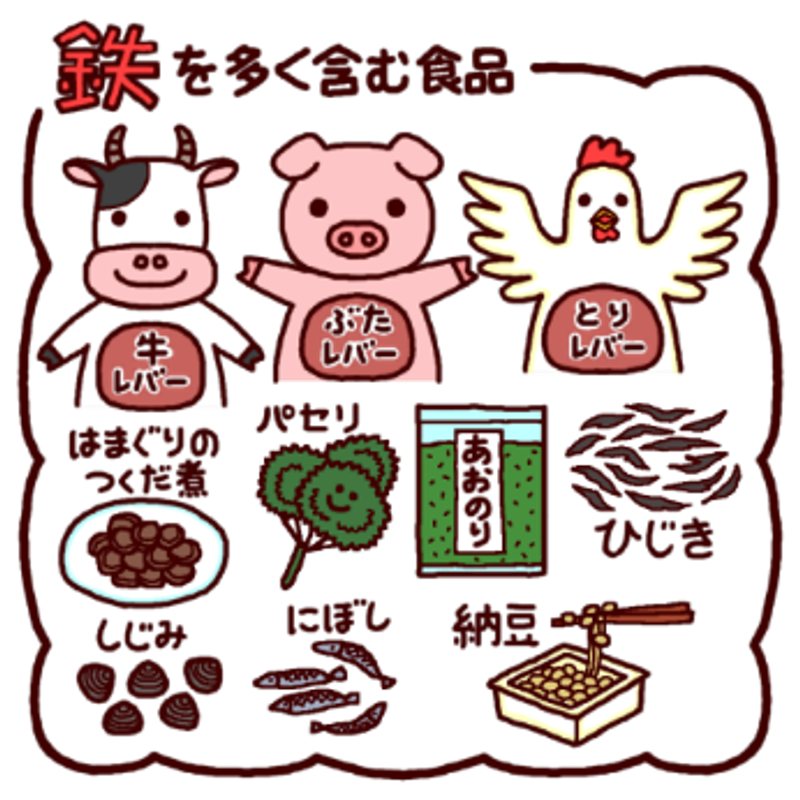 鉄分のお話し