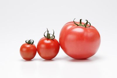 「トマト」の栄養