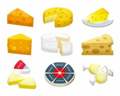 チーズを知って健康に役立てよう