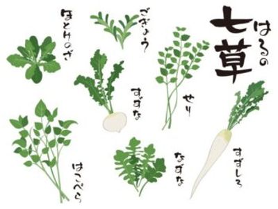 七草粥