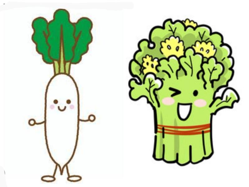 いただきます！旬のおいしさ、春のおとずれ