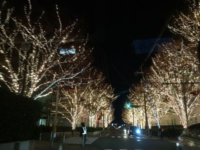 イルミネーション