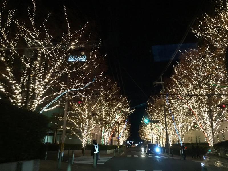 イルミネーション