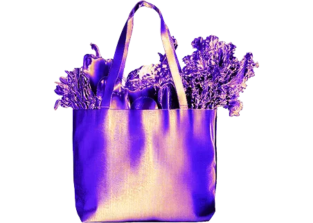 Groceries & Essentials Icon