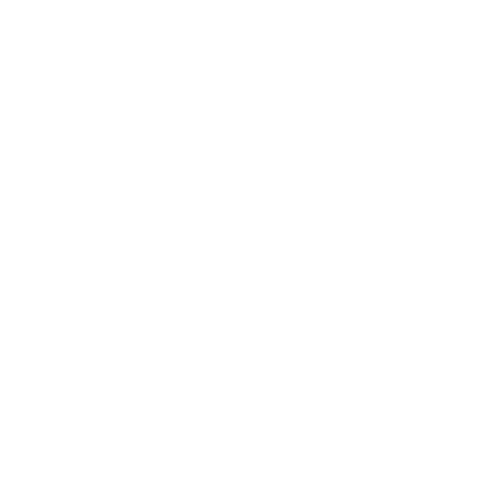 2xu Icon