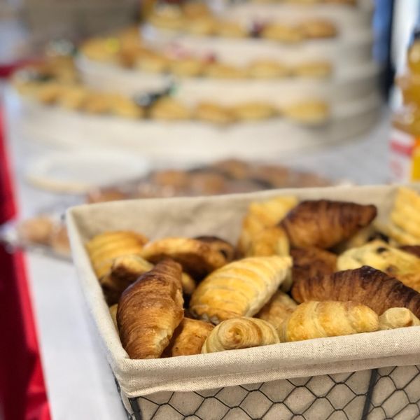 Brunchs et arbres de noel