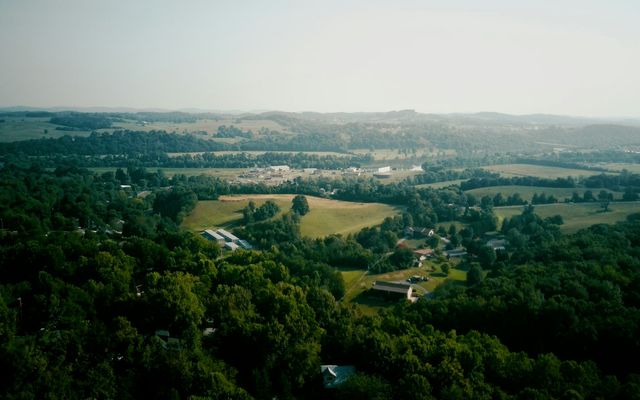 green trees and green grass field during daytime