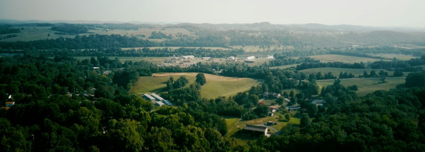 green trees and green grass field during daytime