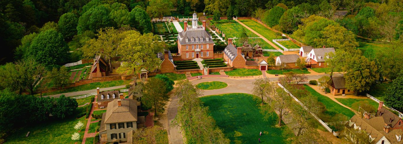 aerial view of green trees and houses during daytime