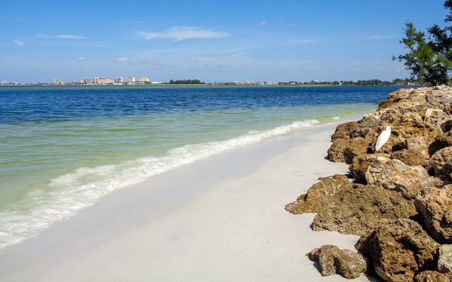 a view of a beach and the ocean from the shore