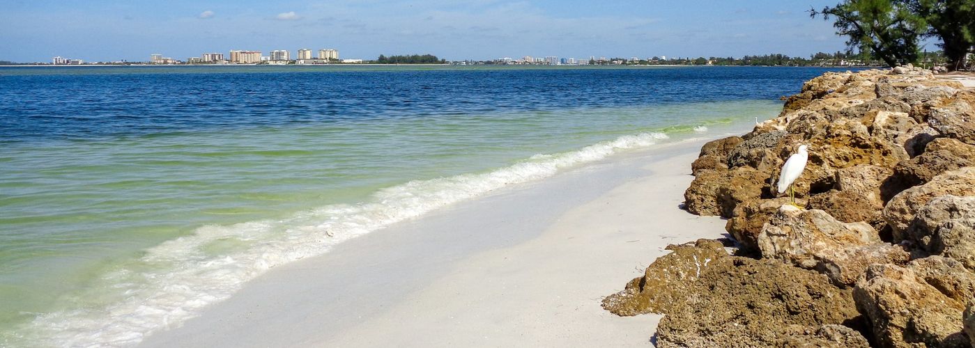 a view of a beach and the ocean from the shore