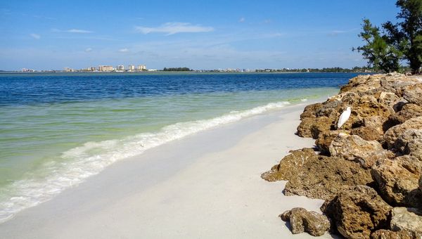 a view of a beach and the ocean from the shore