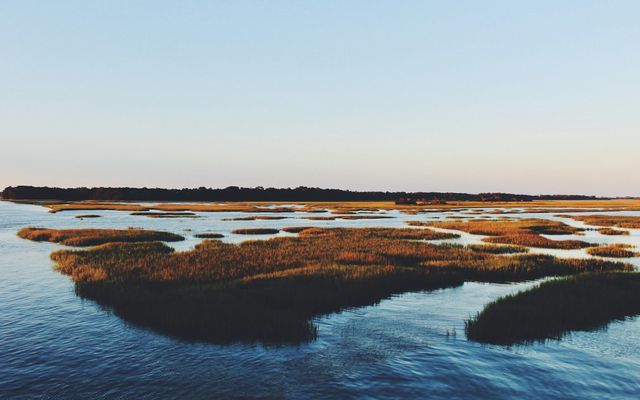wide angle photo of river