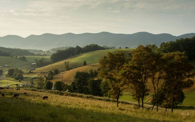 green grass mountain slope
