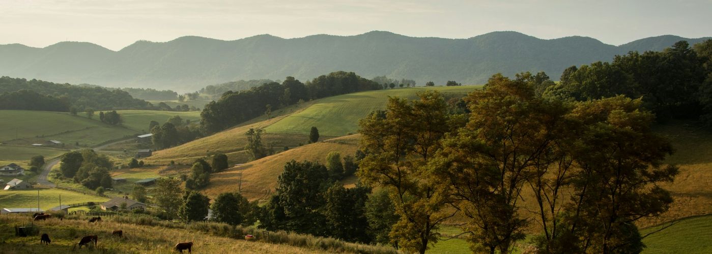 green grass mountain slope