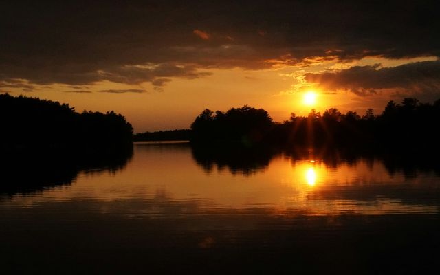 silhouette of trees near body of water during sunset