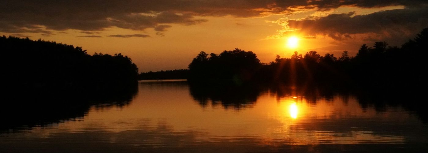 silhouette of trees near body of water during sunset