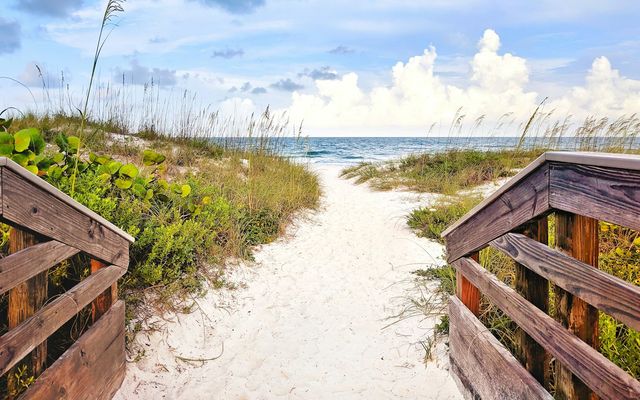 gray wooden bridge near sea