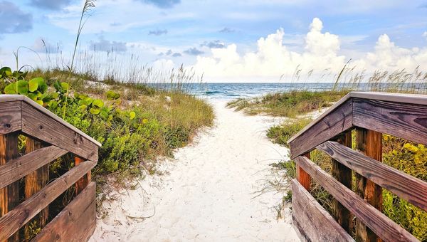 gray wooden bridge near sea