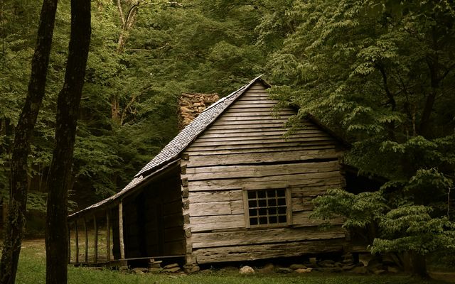 brown house on forest trees