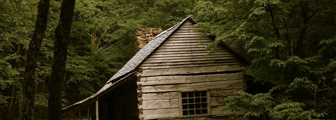 brown house on forest trees