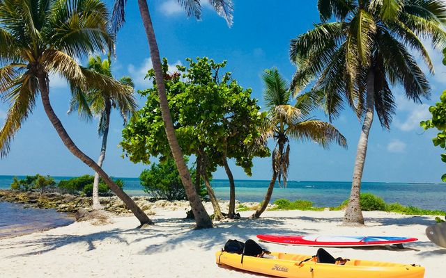 a couple of surfboards sitting on top of a sandy beach