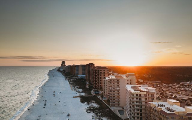 people on beach during daytime