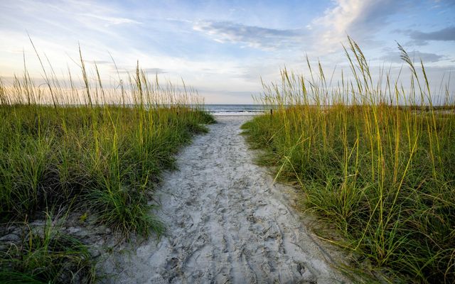 a path leading to the beach with tall grass