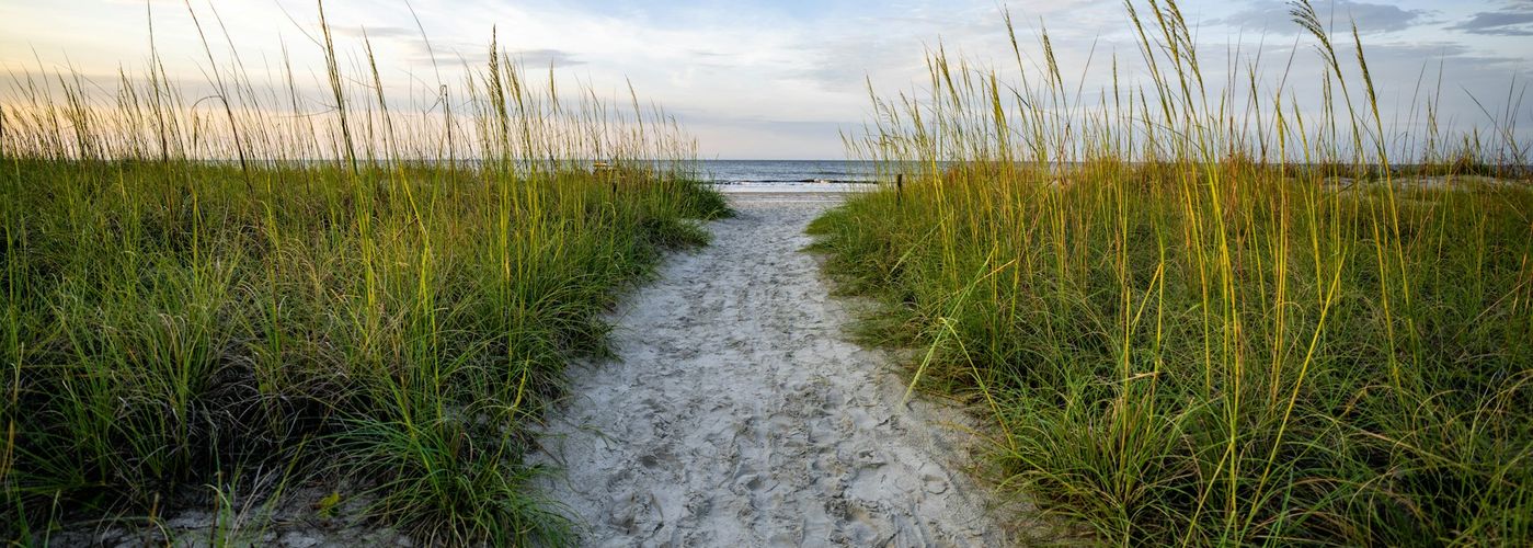 a path leading to the beach with tall grass