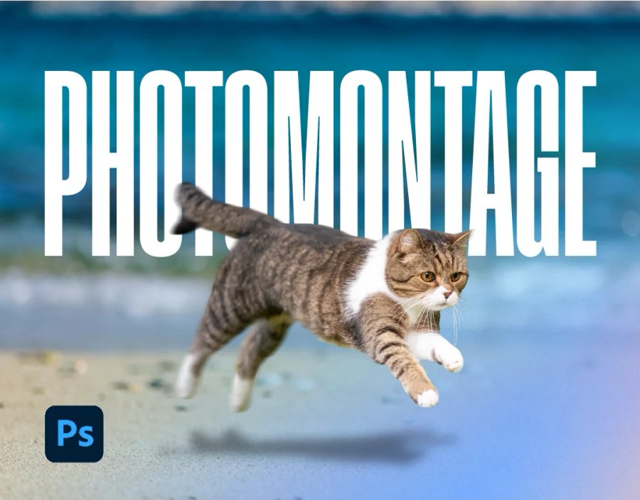 Visual montages