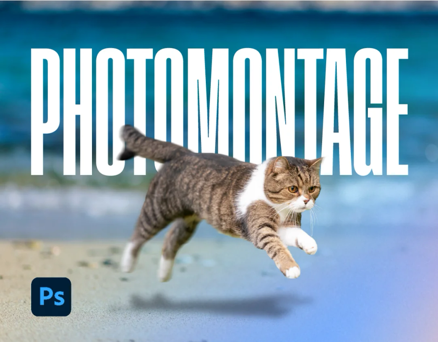 Visual montages