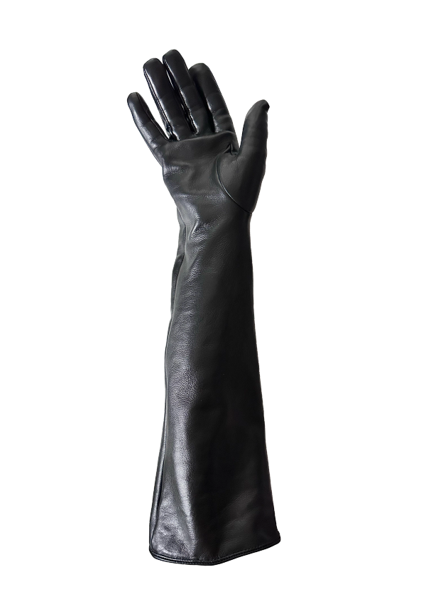 Elbow-Length Leather Gloves