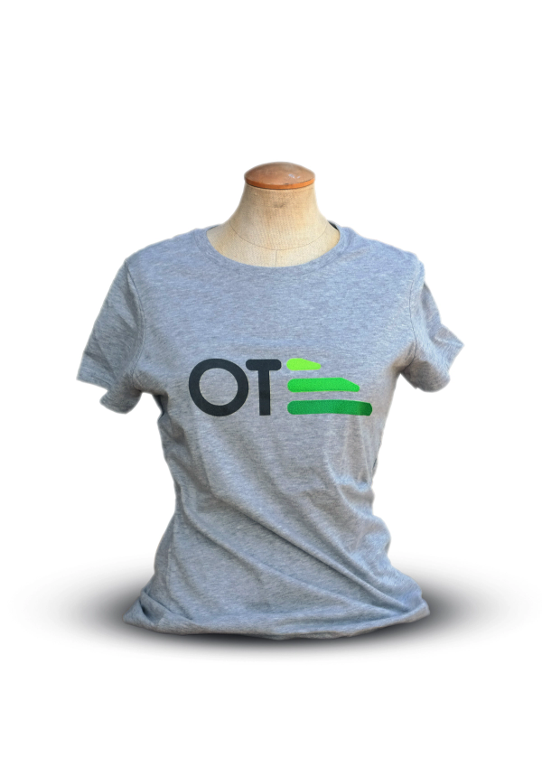 Women's Gray T-shirt