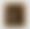 (afterimage)_OLD MASTER_Holy Family with Donor_(SDOMAS01)_HD_©Silvia Cappellari
