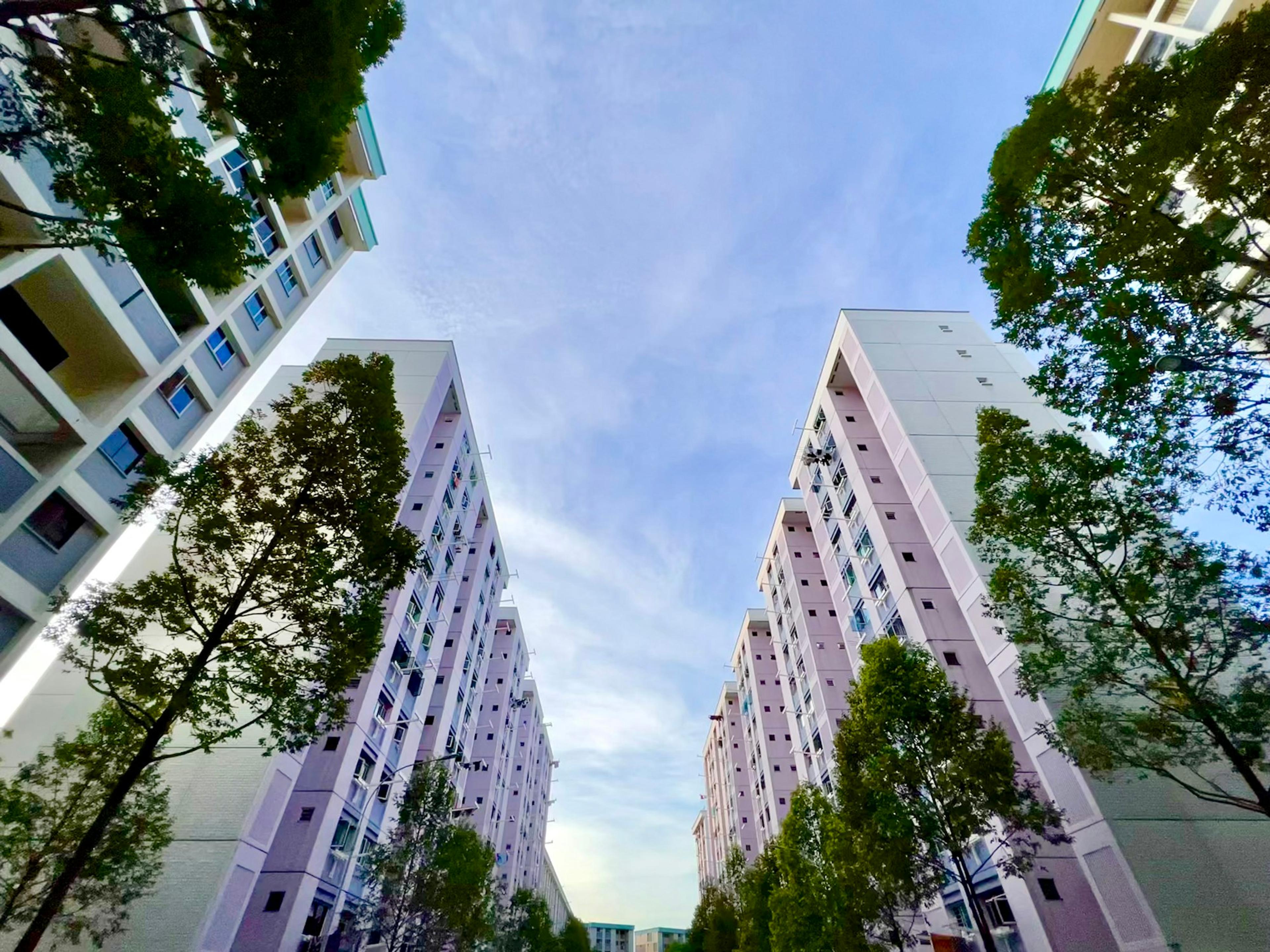 Apartments and flats (HDB) in Singapore