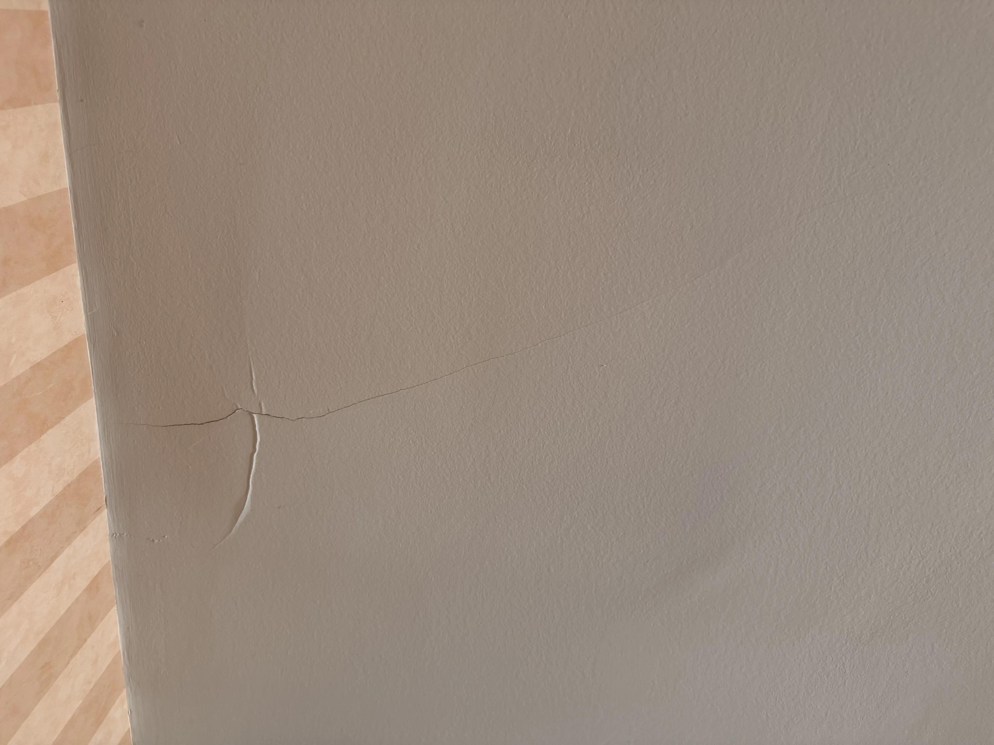 Fissure au plafond du salon