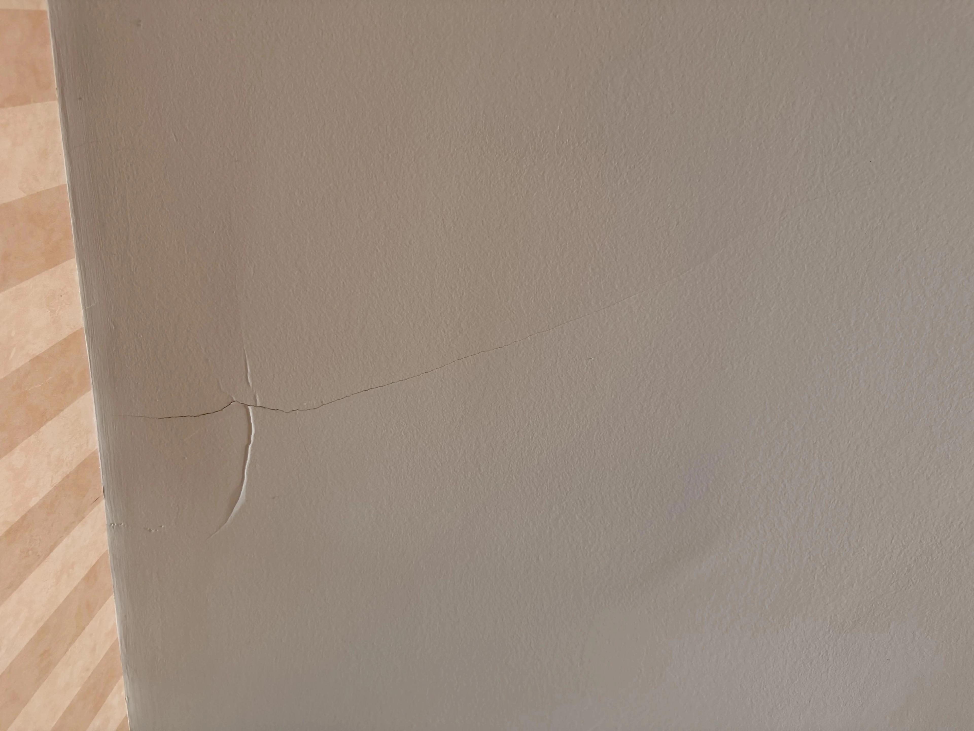 Fissure au plafond du salon