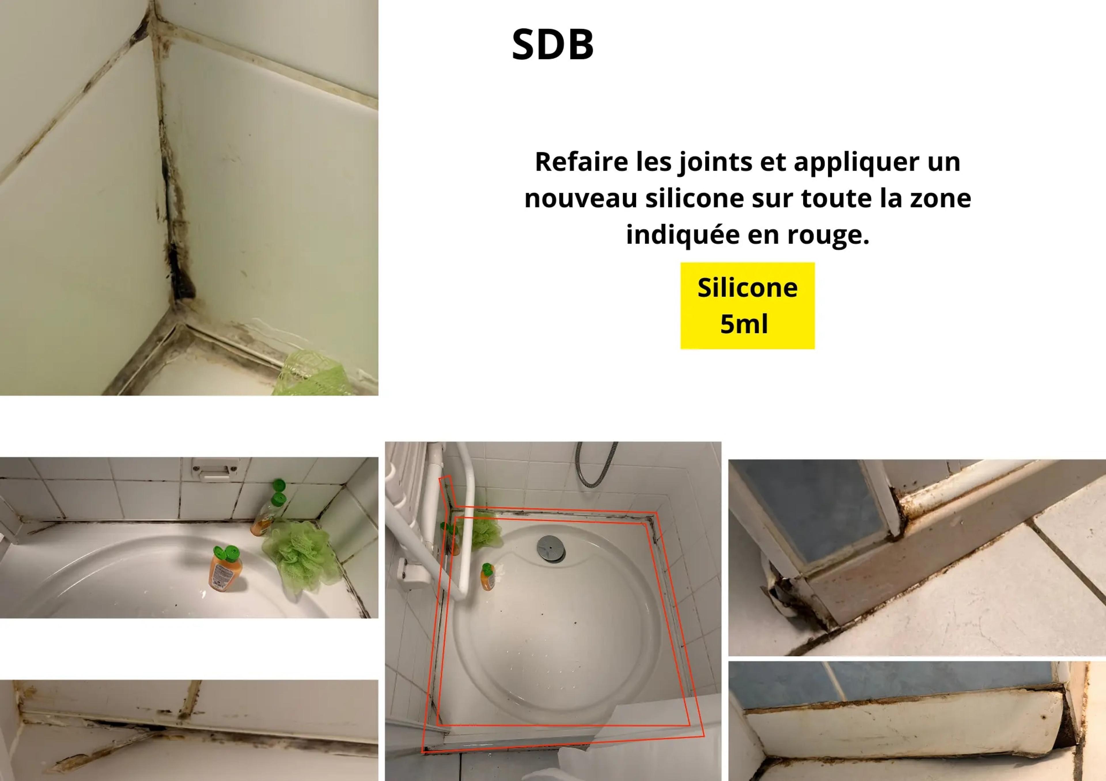 Extrait de notre rapport : joints à refaire repérés en rouge