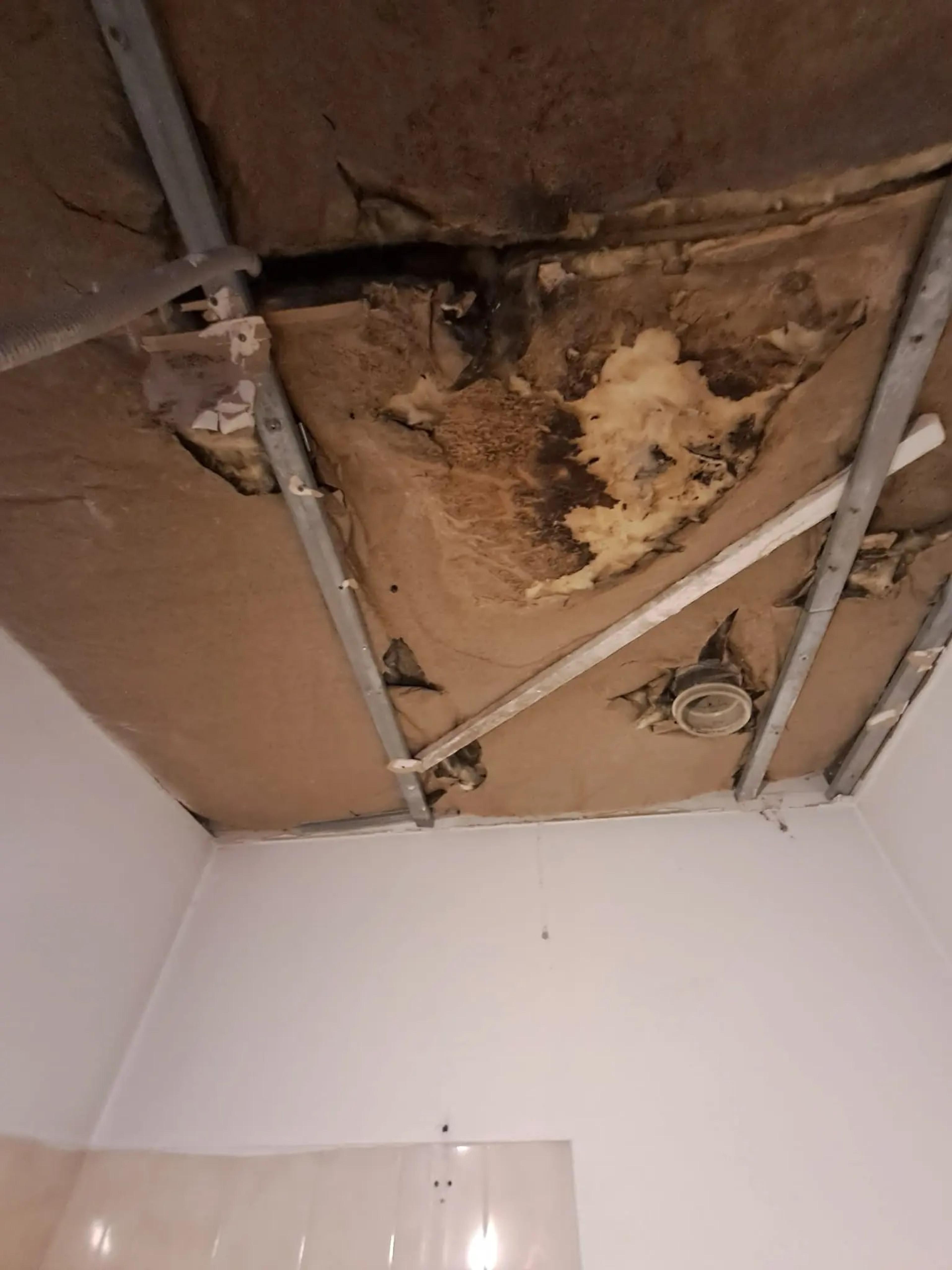Plafond ouvert : plaques abîmées et ossature métallique