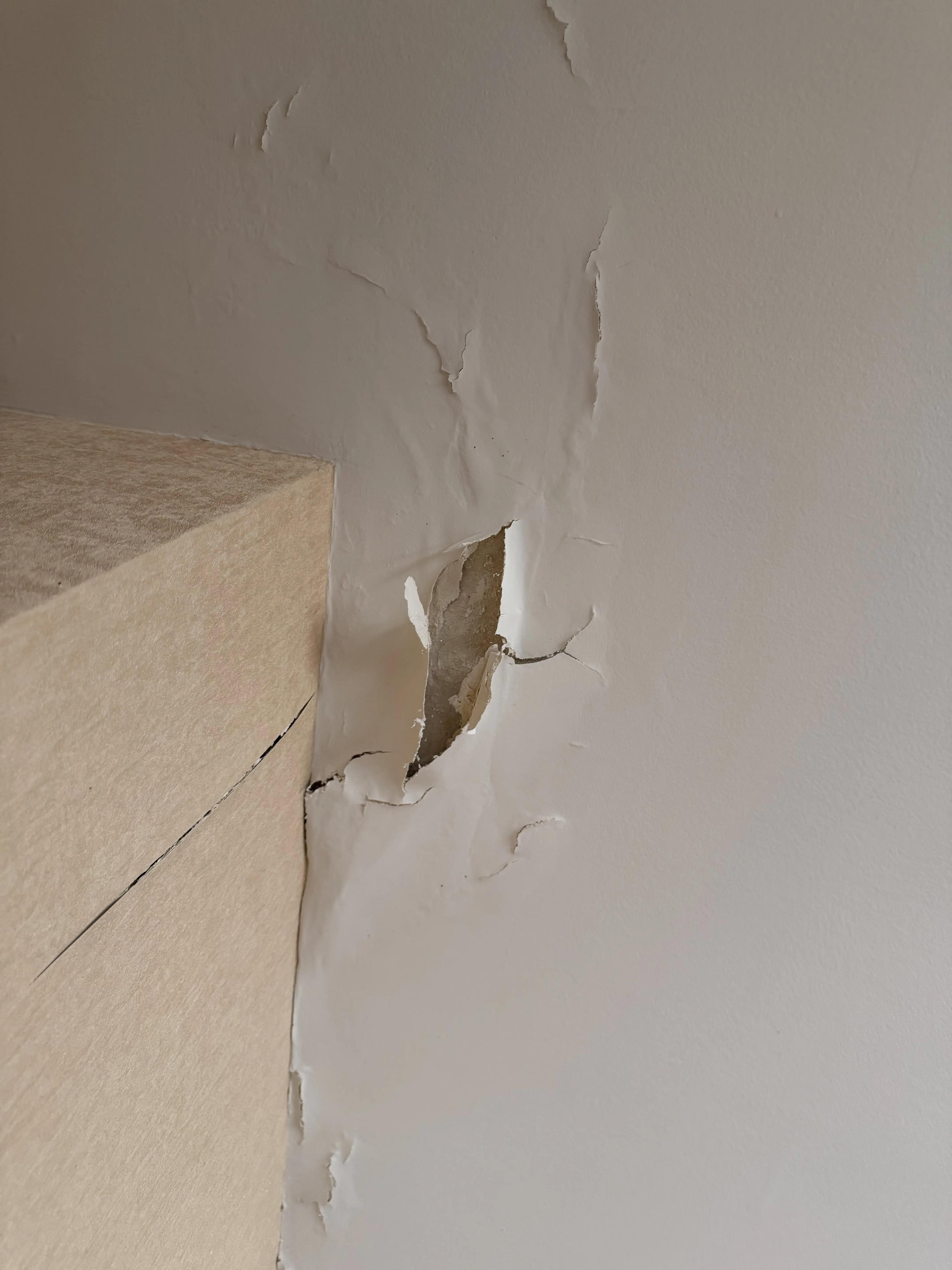 Peinture cloquée et arrachée à l’angle du mur et du plafond
