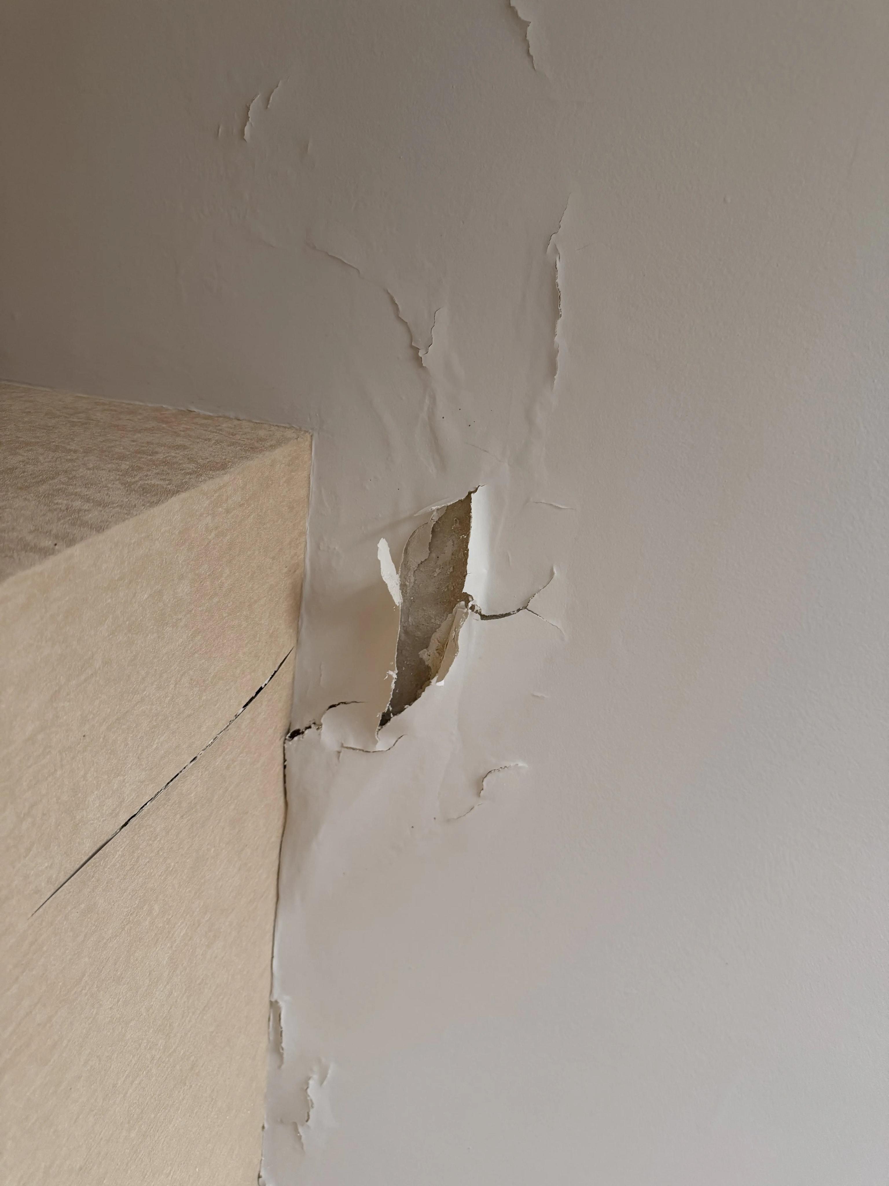 Peinture cloquée et arrachée à l’angle du mur et du plafond
