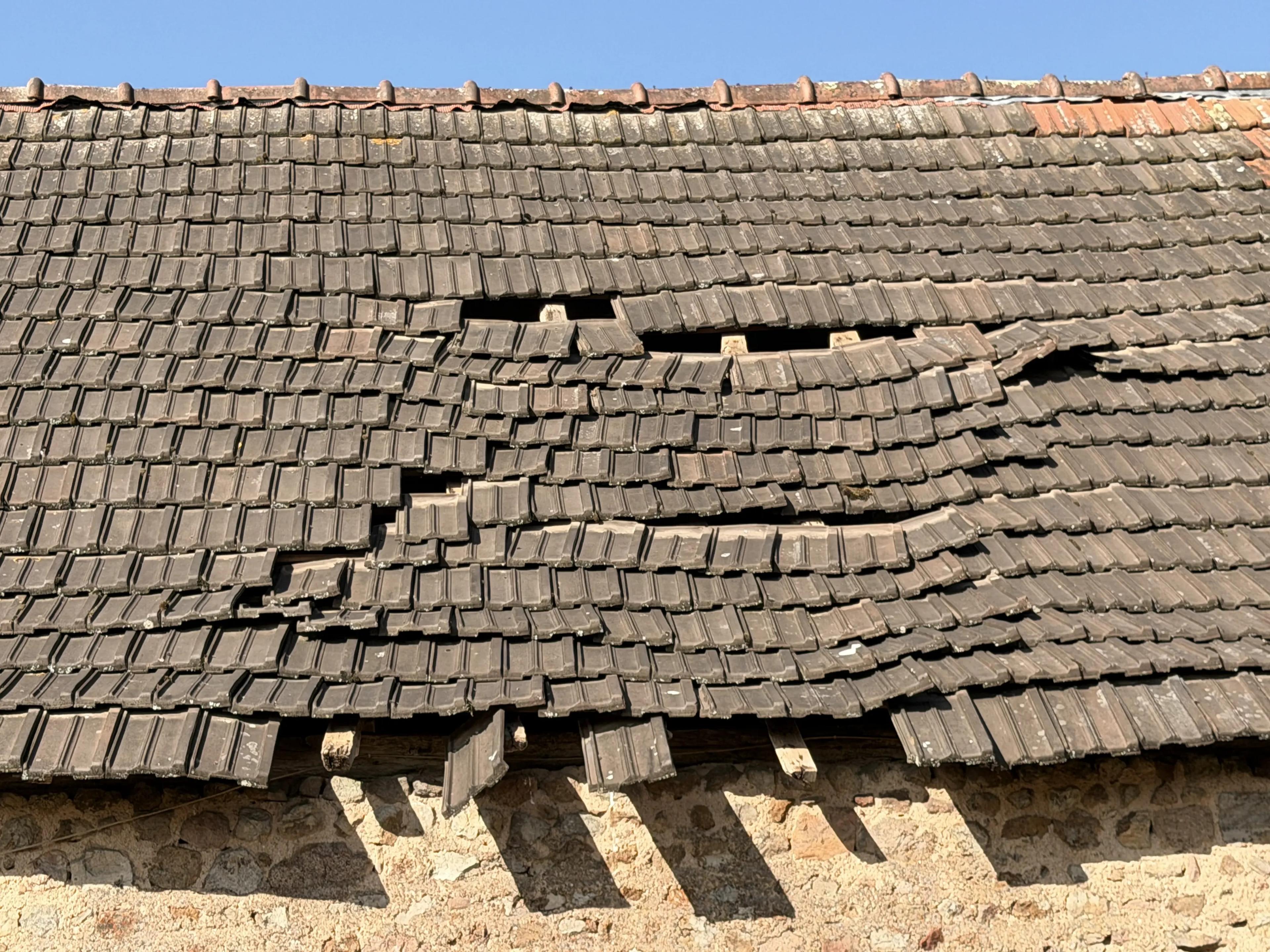 La toiture de la grange avant travaux : tuiles déplacées et manquantes