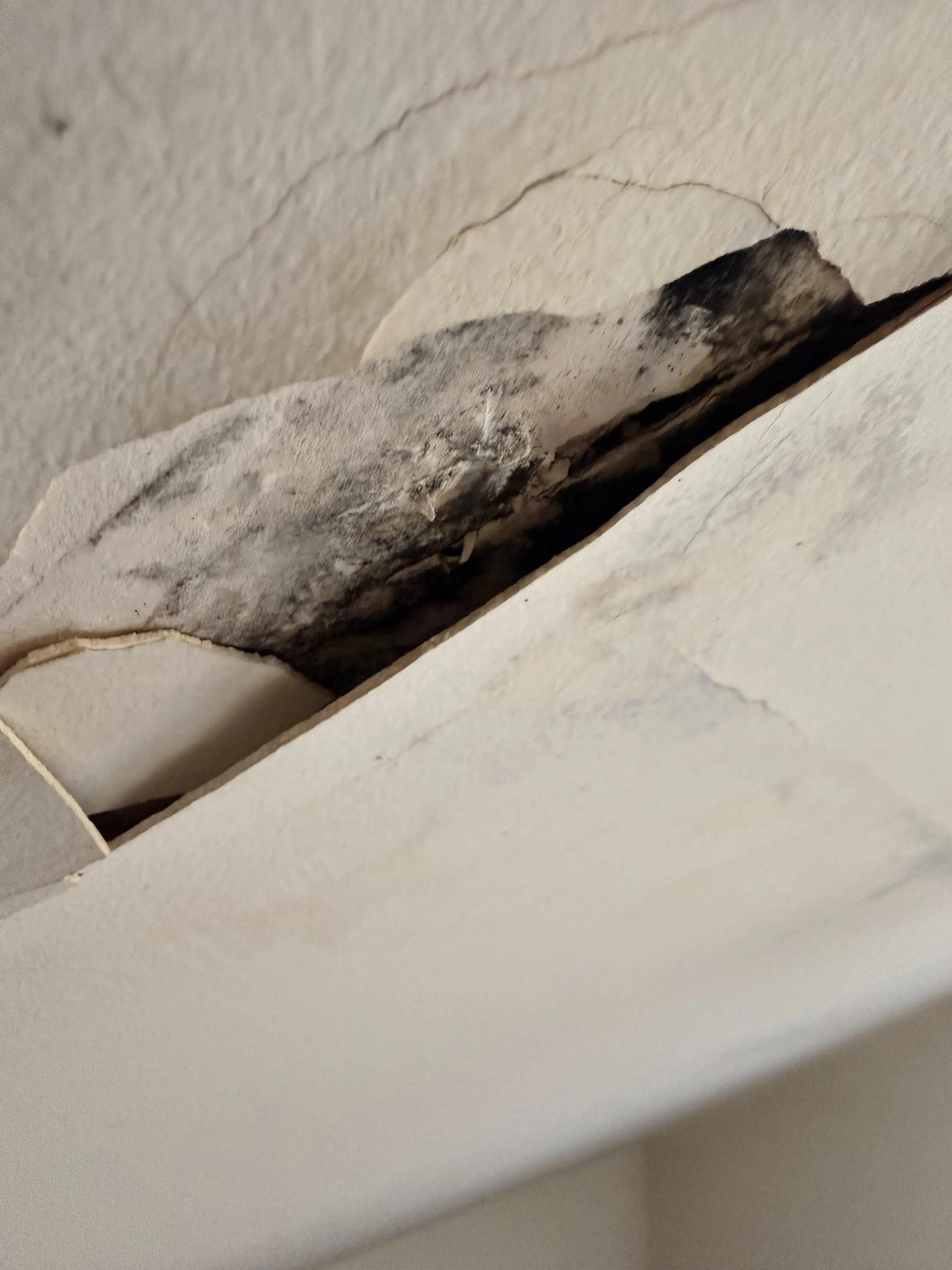 Plâtre décollé et noirci au plafond