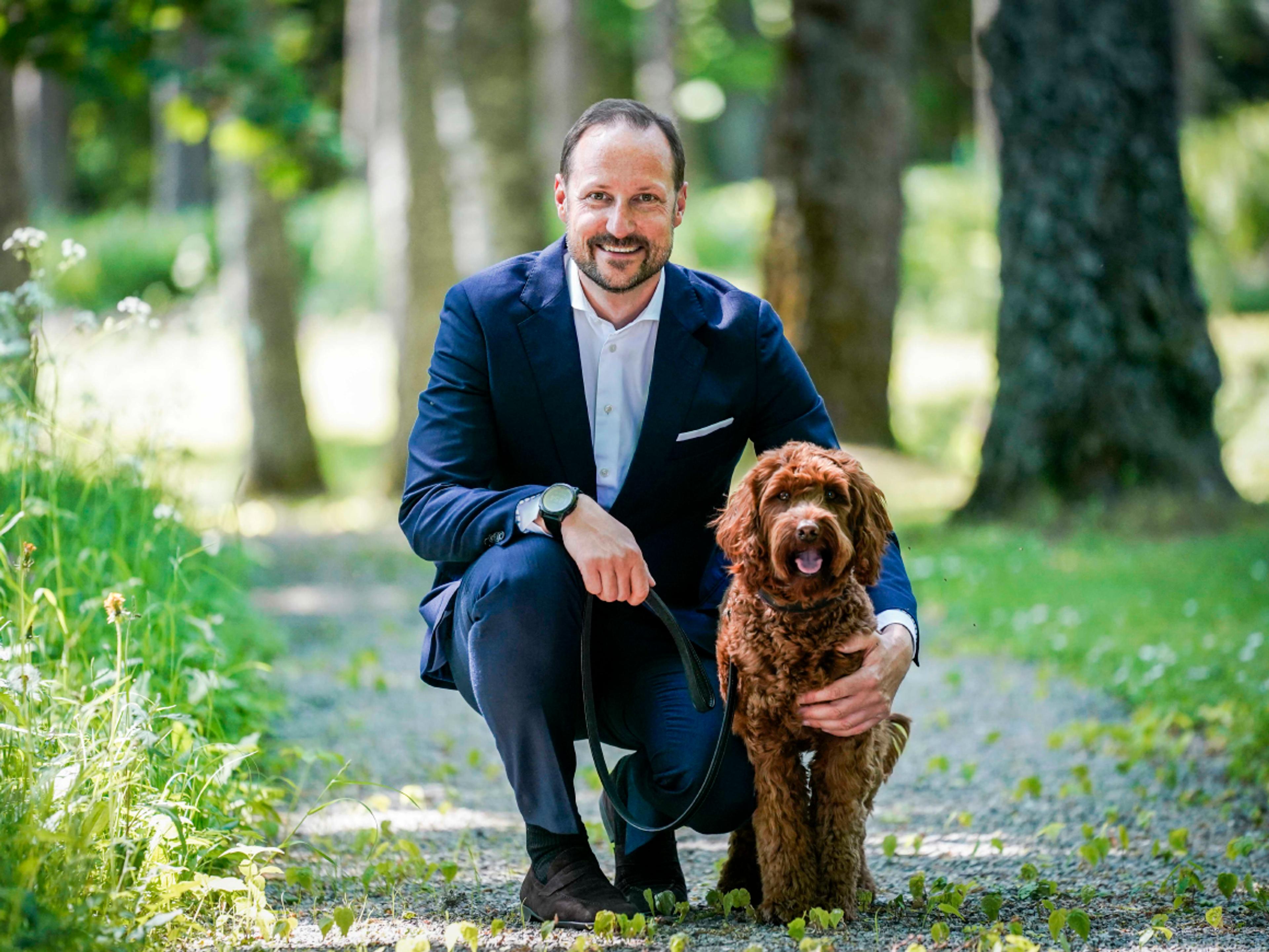 Kronprins Haakon setter i gang oppussing av forfalt Rødlåve på Skaugum — image 3