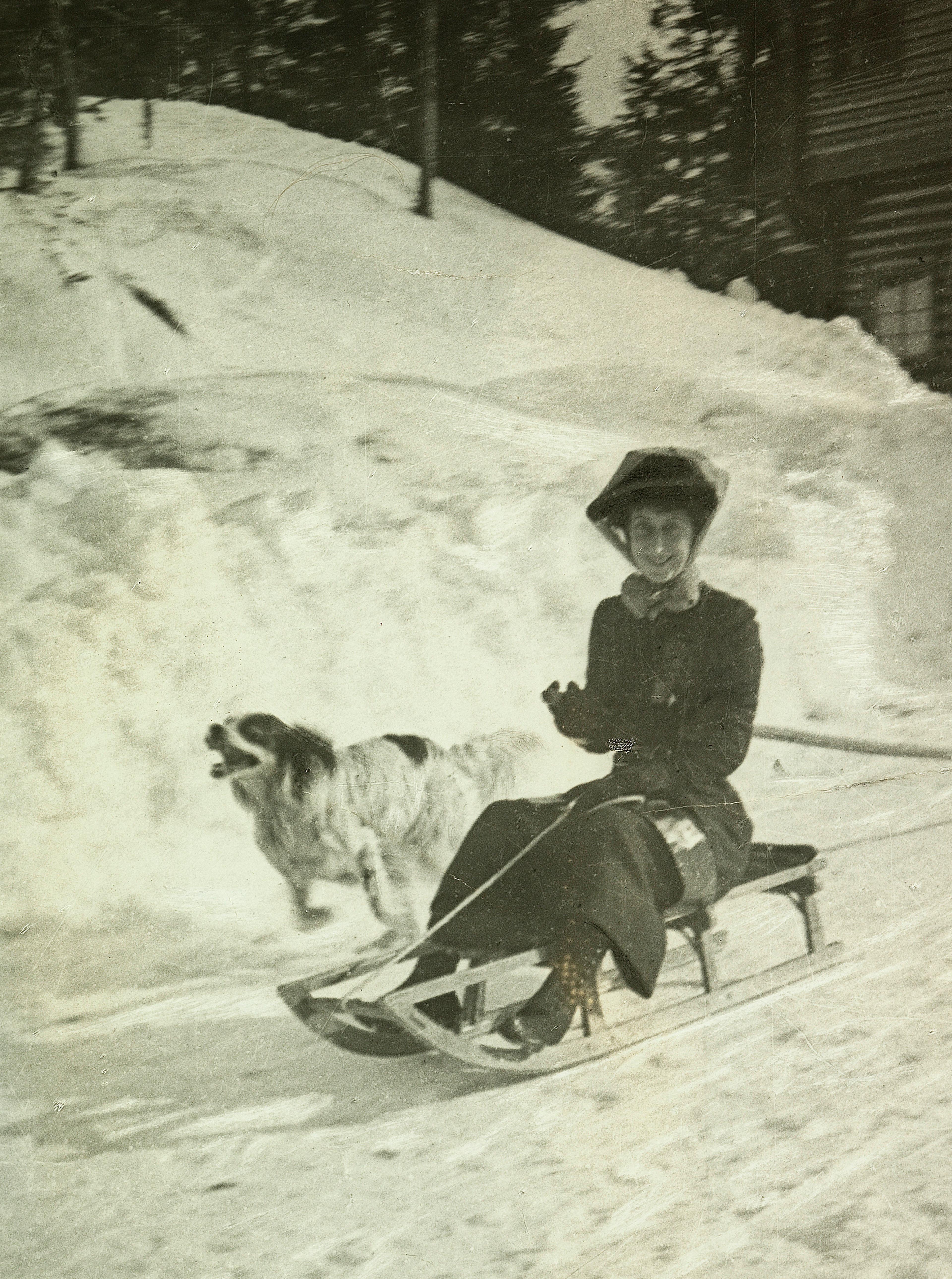 Dronning Maud smilende på kjelke med styrestang. En fuglehund løper ved siden av henne.
