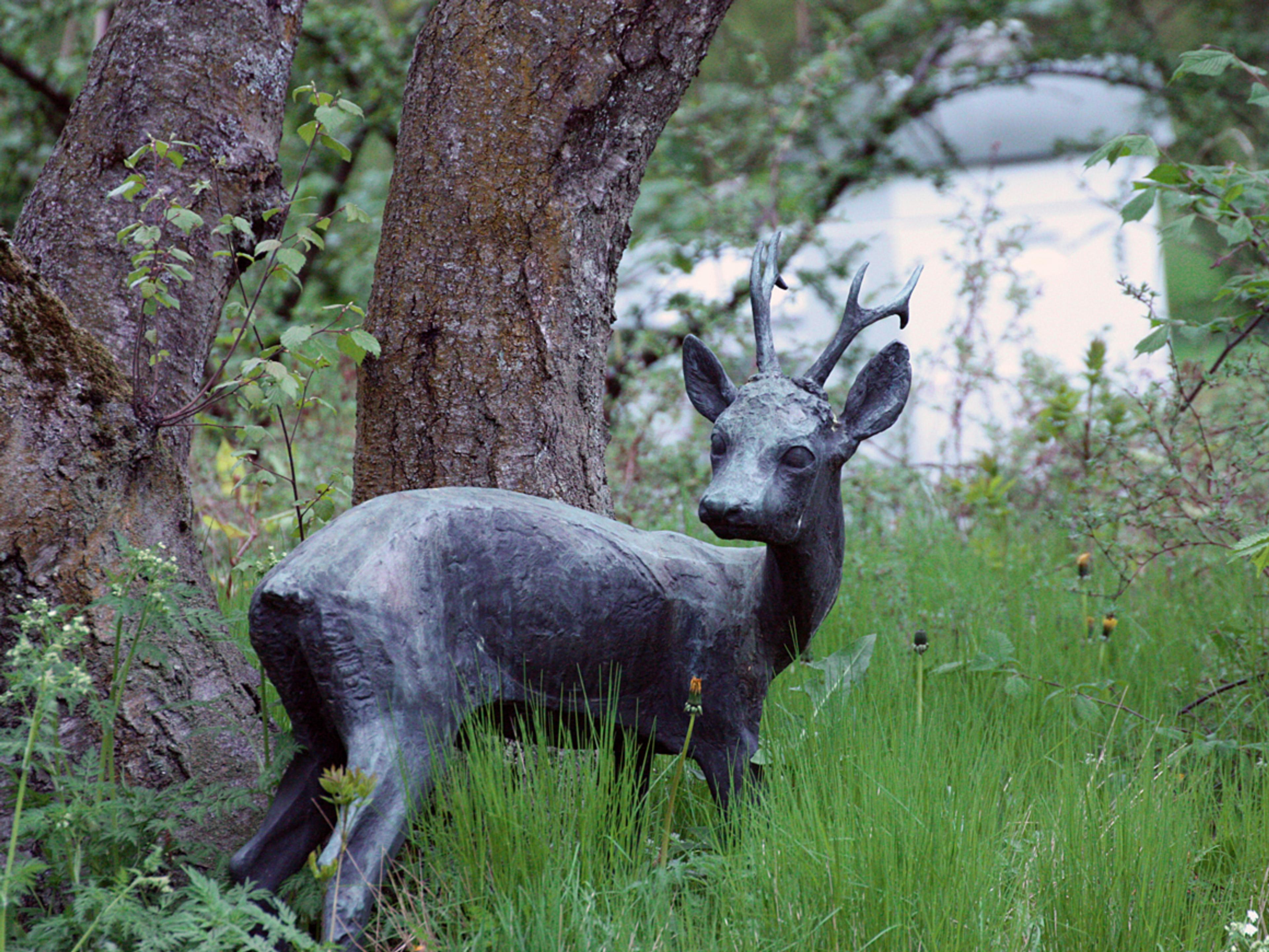 Et rådyr i bronse står i høyt gress og ser seg tilbake over skulderen.
